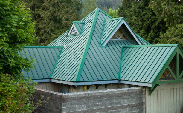 Best Solar Panel Roofing Installation  in Sangaree, SC