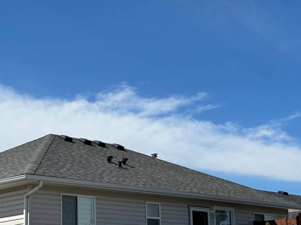 Professional Roofing Services in Sangaree, SC