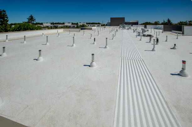 Best Emergency Roof Repair Services  in Sangaree, SC